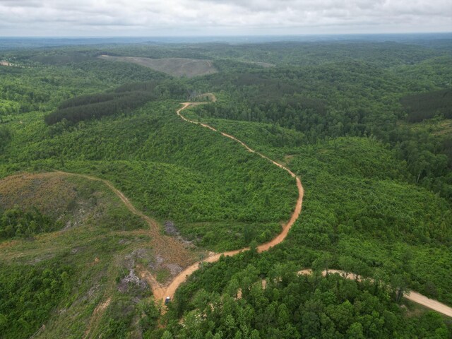 0 Hohenwald Hwy, Waynesboro, TN 38485 - photo 3