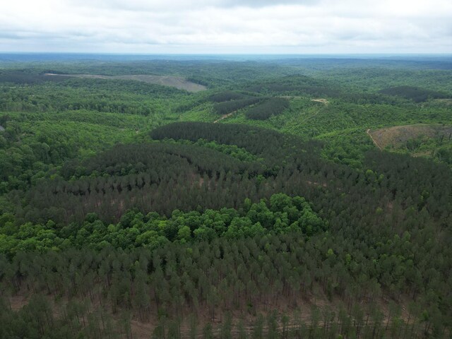 0 Hohenwald Hwy, Waynesboro, TN 38485 - photo 10