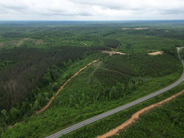 0 Hohenwald Hwy, Waynesboro, TN 38485 - photo 7