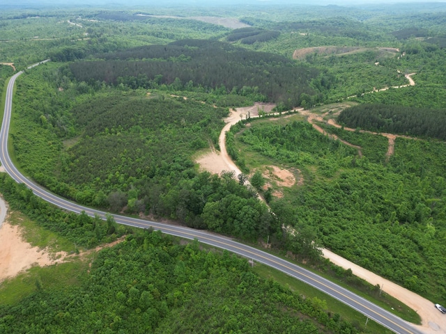 0 Hohenwald Hwy, Waynesboro, TN 38485 - photo 2