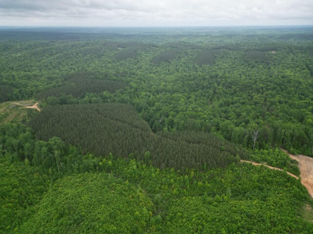 0 Hohenwald Hwy, Waynesboro, TN 38485 - photo 11