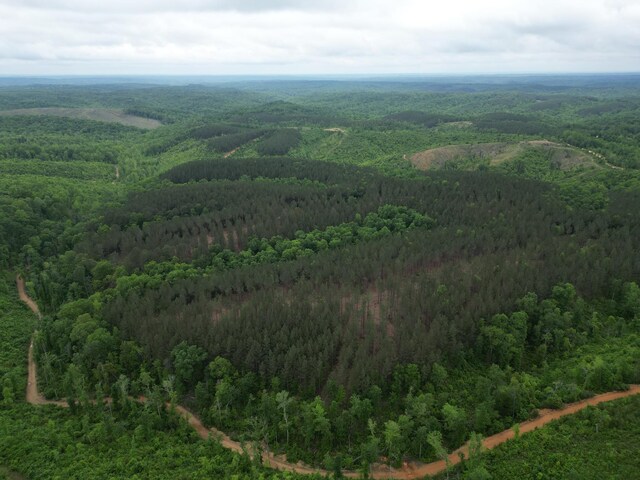 0 Hohenwald Hwy, Waynesboro, TN 38485 - photo 9