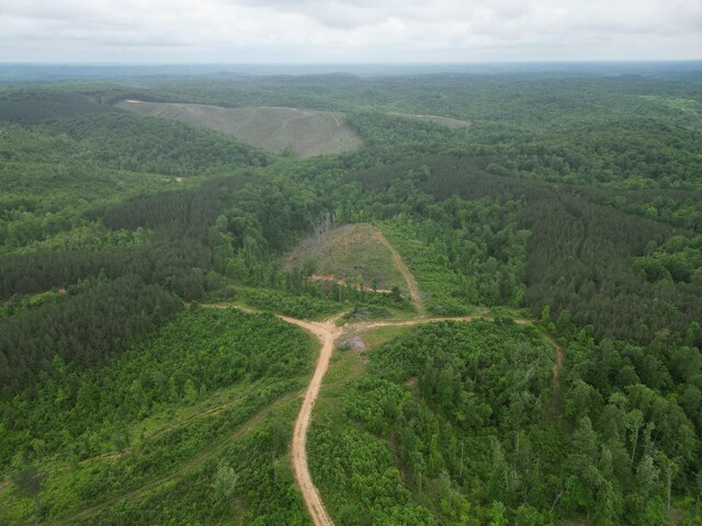0 Hohenwald Hwy, Waynesboro, TN 38485 - photo 12