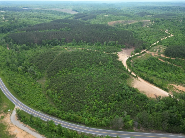 0 Hohenwald Hwy, Waynesboro, TN 38485 - photo 1