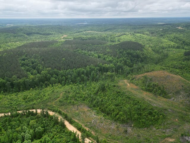 0 Hohenwald Hwy, Waynesboro, TN 38485 - photo 4