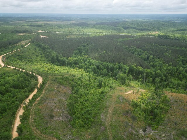 0 Hohenwald Hwy, Waynesboro, TN 38485 - photo 5