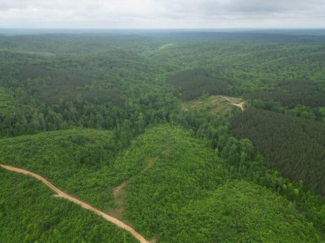 0 Hohenwald Hwy, Waynesboro, TN 38485 - photo 6