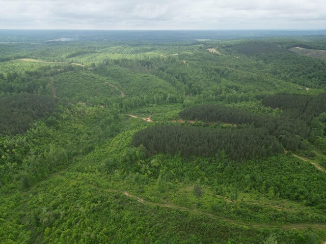 0 Hohenwald Hwy, Waynesboro, TN 38485 - photo 13