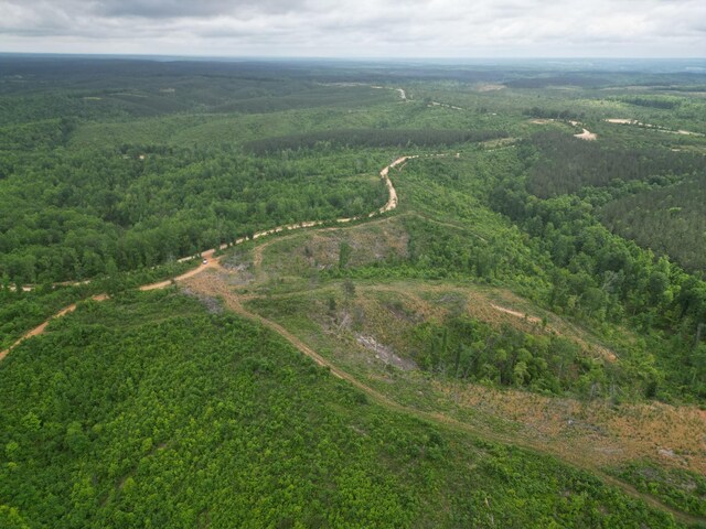 0 Hohenwald Hwy, Waynesboro, TN 38485 - photo 14