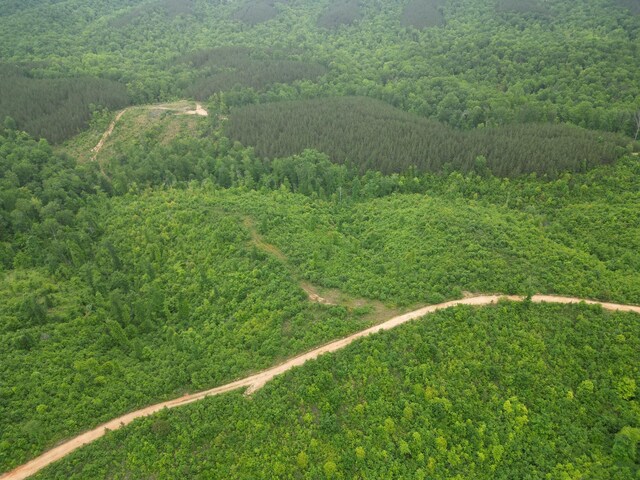 0 Hohenwald Hwy, Waynesboro, TN 38485 - photo 15