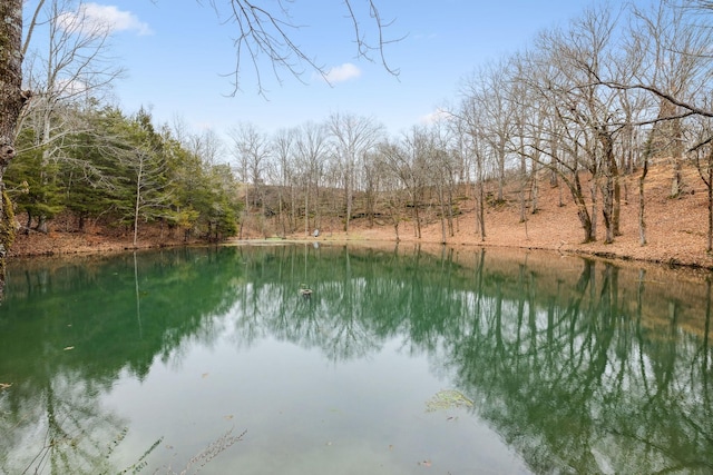 2111 Hoovers Rd, Duck River, TN 38454 - property view of water