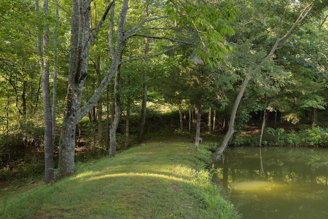2111 Hoovers Rd, Duck River, TN 38454 - view of nature featuring a water view