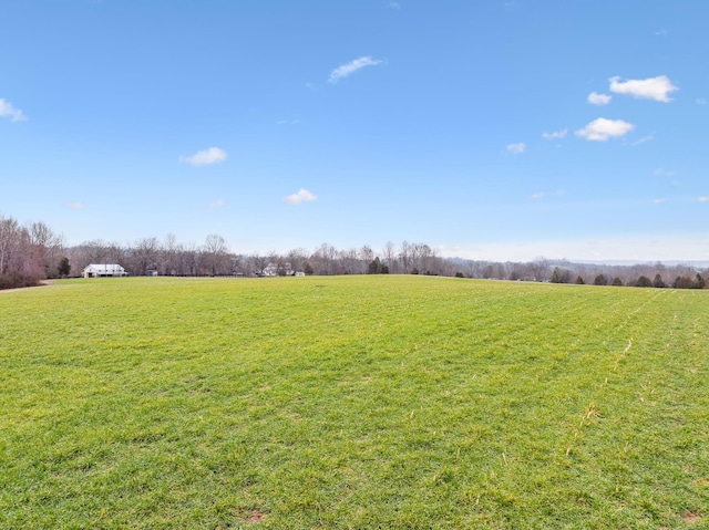 2111 Hoovers Rd, Duck River, TN 38454 - view of yard featuring a rural view