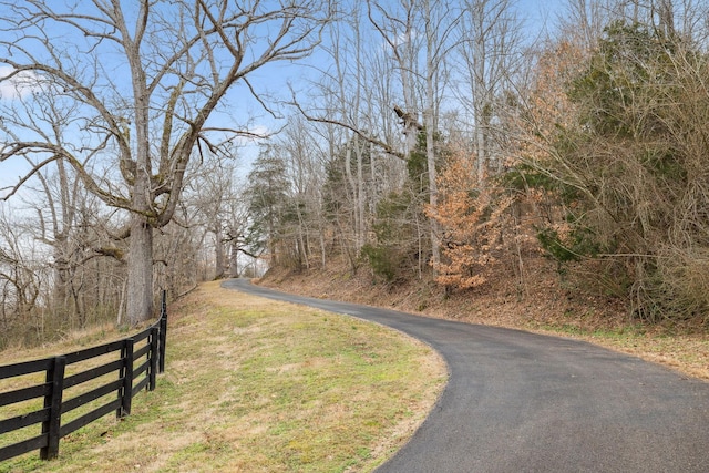 2111 Hoovers Rd, Duck River, TN 38454 - view of street