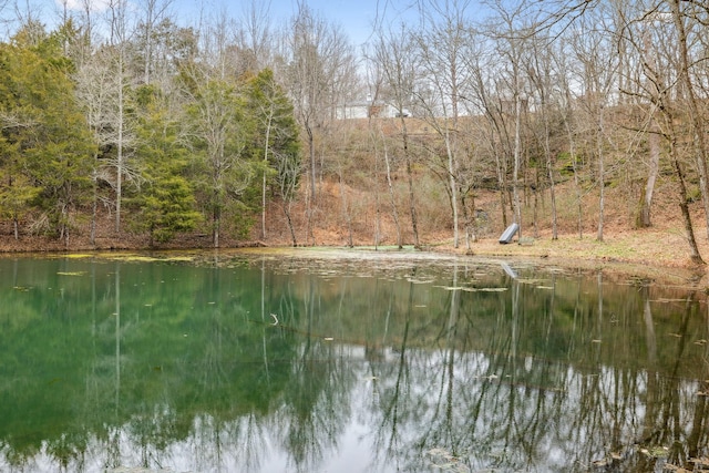 2111 Hoovers Rd, Duck River, TN 38454 - view of water feature