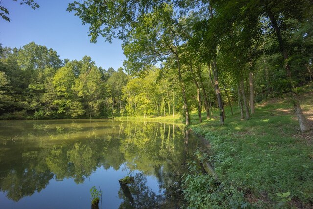 2111 Hoovers Rd, Duck River, TN 38454 - water view