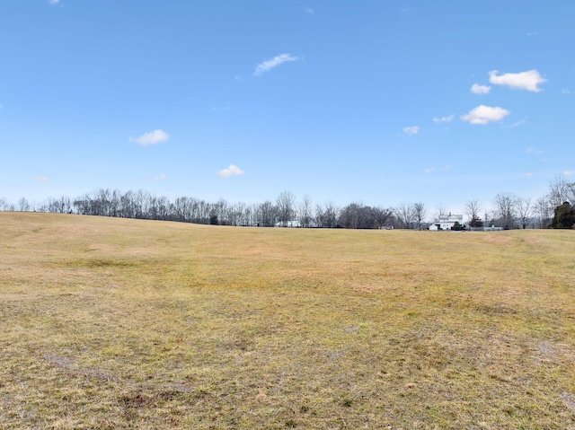 2111 Hoovers Rd, Duck River, TN 38454 - view of landscape featuring a rural view