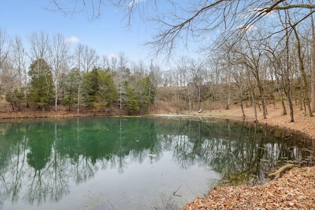2111 Hoovers Rd, Duck River, TN 38454 - view of water feature