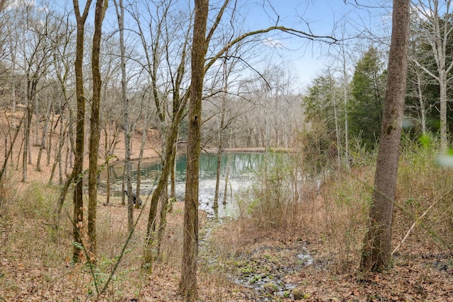2111 Hoovers Rd, Duck River, TN 38454 - water view