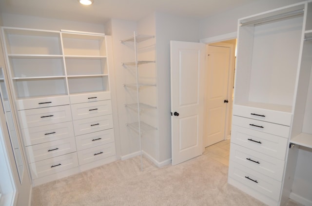 spacious closet with light carpet