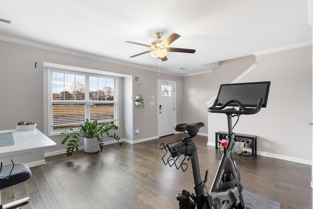 workout room featuring crown molding and dark hardwood / wood-style floors