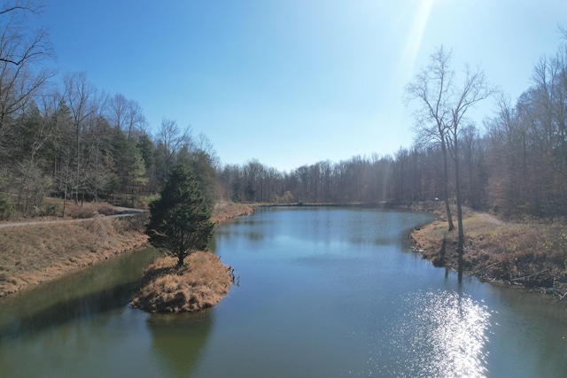 water view featuring a view of trees