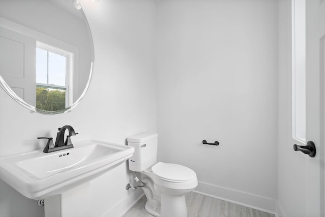 bathroom with sink, wood-type flooring, and toilet