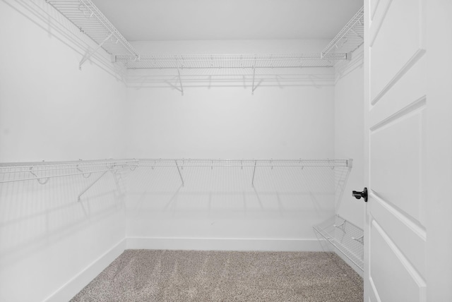 walk in closet featuring carpet