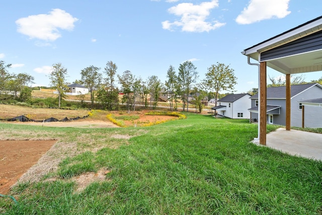 view of yard featuring a patio