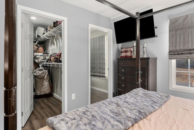 bedroom with a spacious closet, dark hardwood / wood-style flooring, and a closet