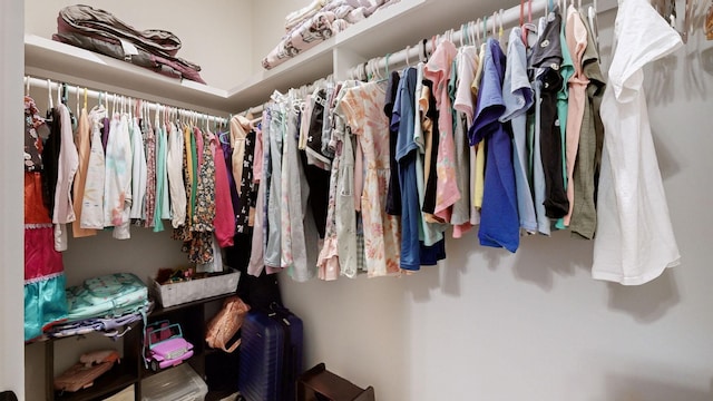 view of spacious closet