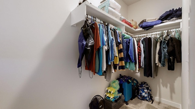 walk in closet with carpet flooring