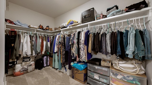 spacious closet with carpet