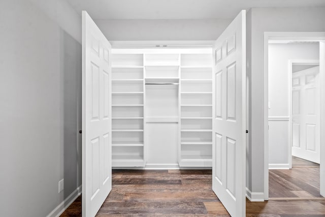 spacious closet featuring dark hardwood / wood-style flooring