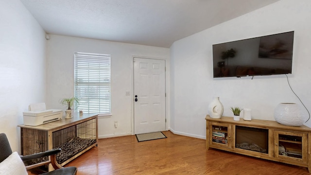 entryway featuring baseboards and wood finished floors