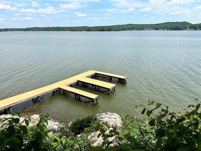 view of dock with a water view