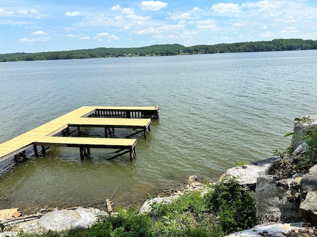 view of dock featuring a water view