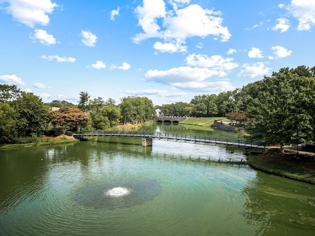 view of water feature