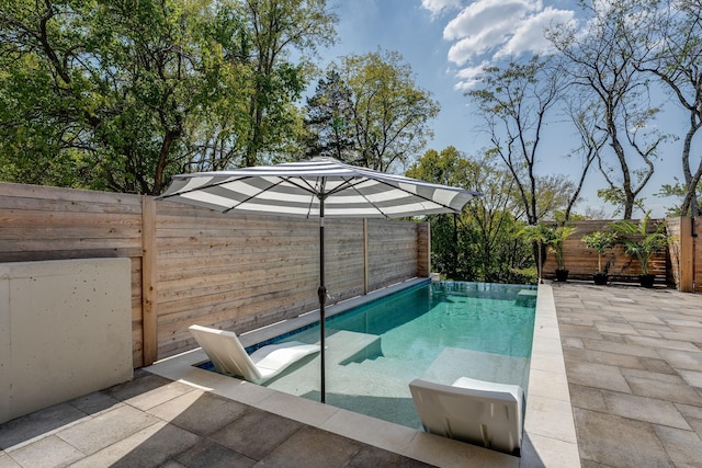 view of swimming pool featuring a patio