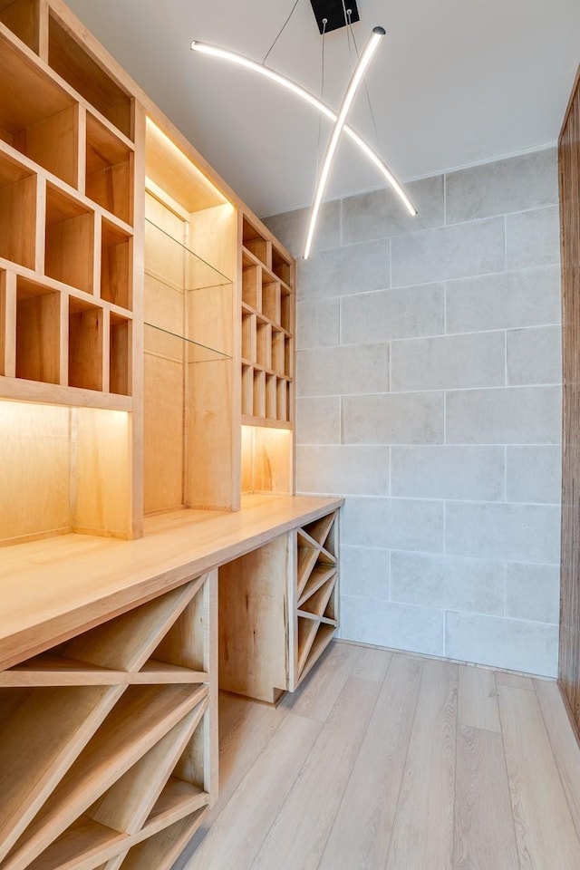 wine room with light wood-type flooring