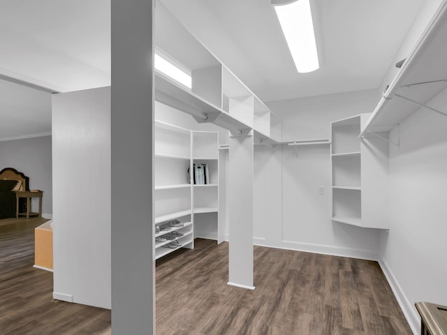 spacious closet with dark hardwood / wood-style flooring