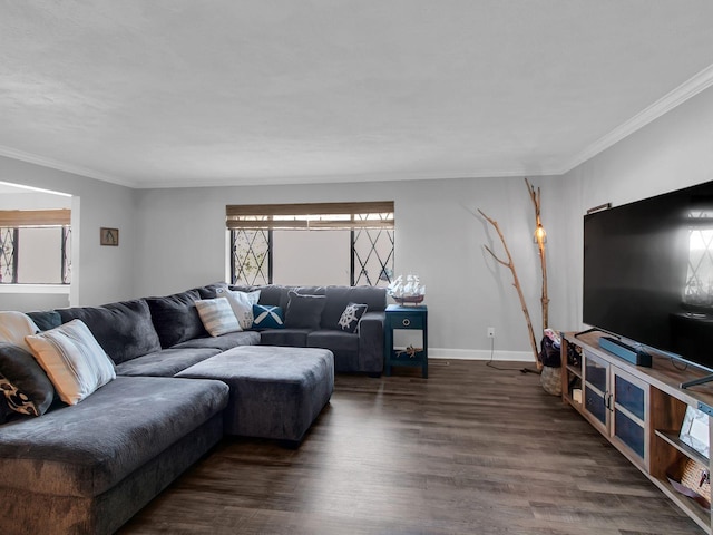 living room with dark wood-type flooring and ornamental molding