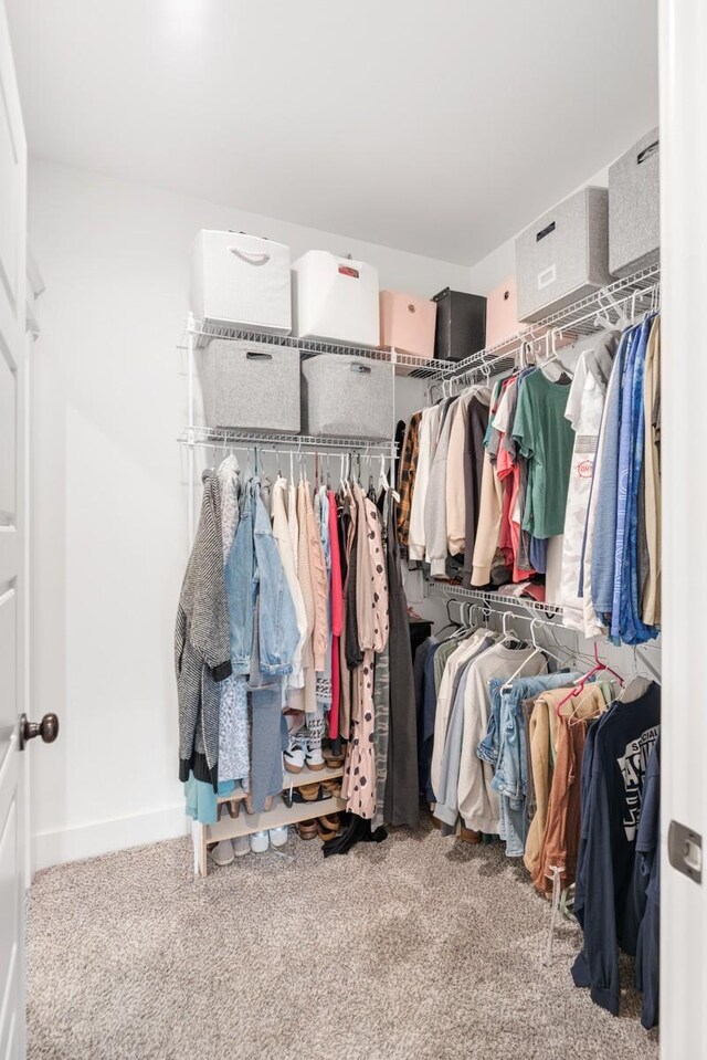 spacious closet featuring carpet flooring