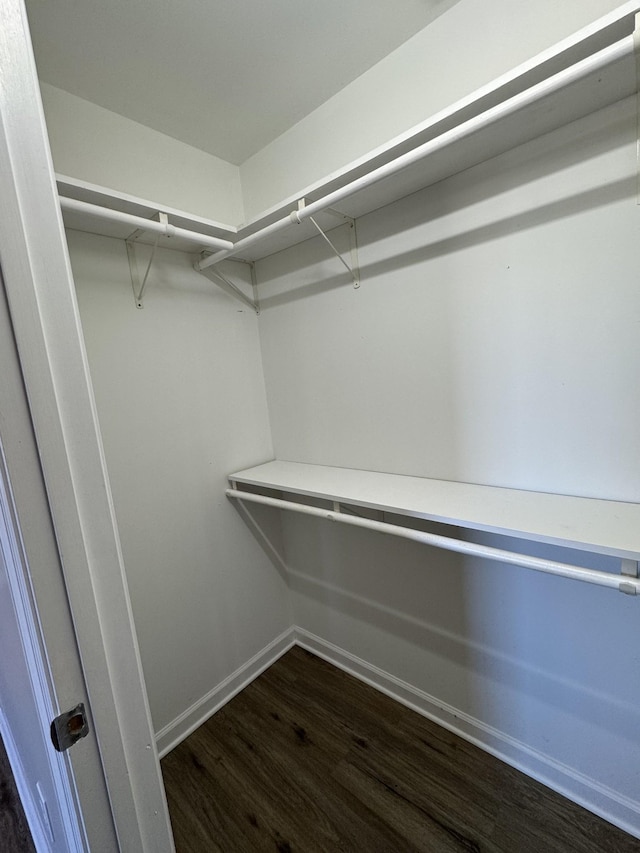 walk in closet with dark hardwood / wood-style floors