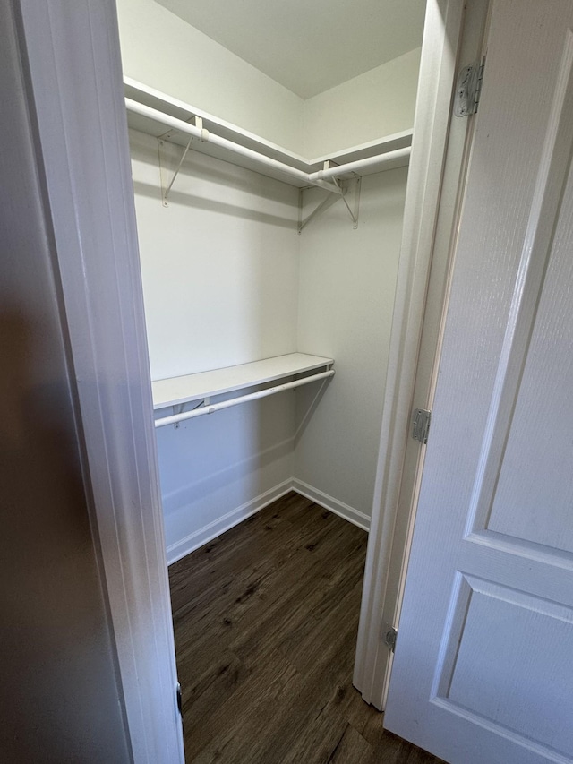 spacious closet with dark hardwood / wood-style floors