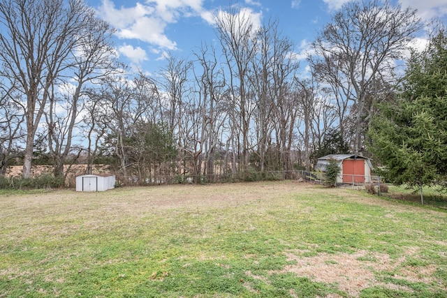 view of yard with a storage unit