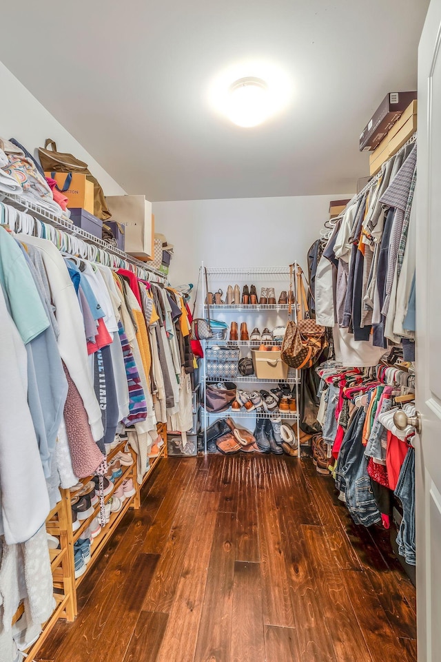 walk in closet with hardwood / wood-style flooring