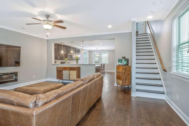 living room with crown molding, dark hardwood / wood-style floors, and ceiling fan