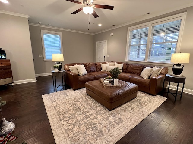 living room featuring crown molding, ceiling fan, and dark hardwood / wood-style flooring