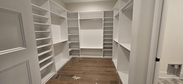 walk in closet with dark wood-type flooring